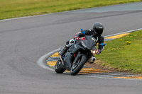 PJ-Motorsport-2019;anglesey-no-limits-trackday;anglesey-photographs;anglesey-trackday-photographs;enduro-digital-images;event-digital-images;eventdigitalimages;no-limits-trackdays;peter-wileman-photography;racing-digital-images;trac-mon;trackday-digital-images;trackday-photos;ty-croes